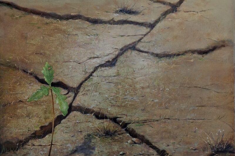 ‘Close to the Edge’ Climate Change Exhibition